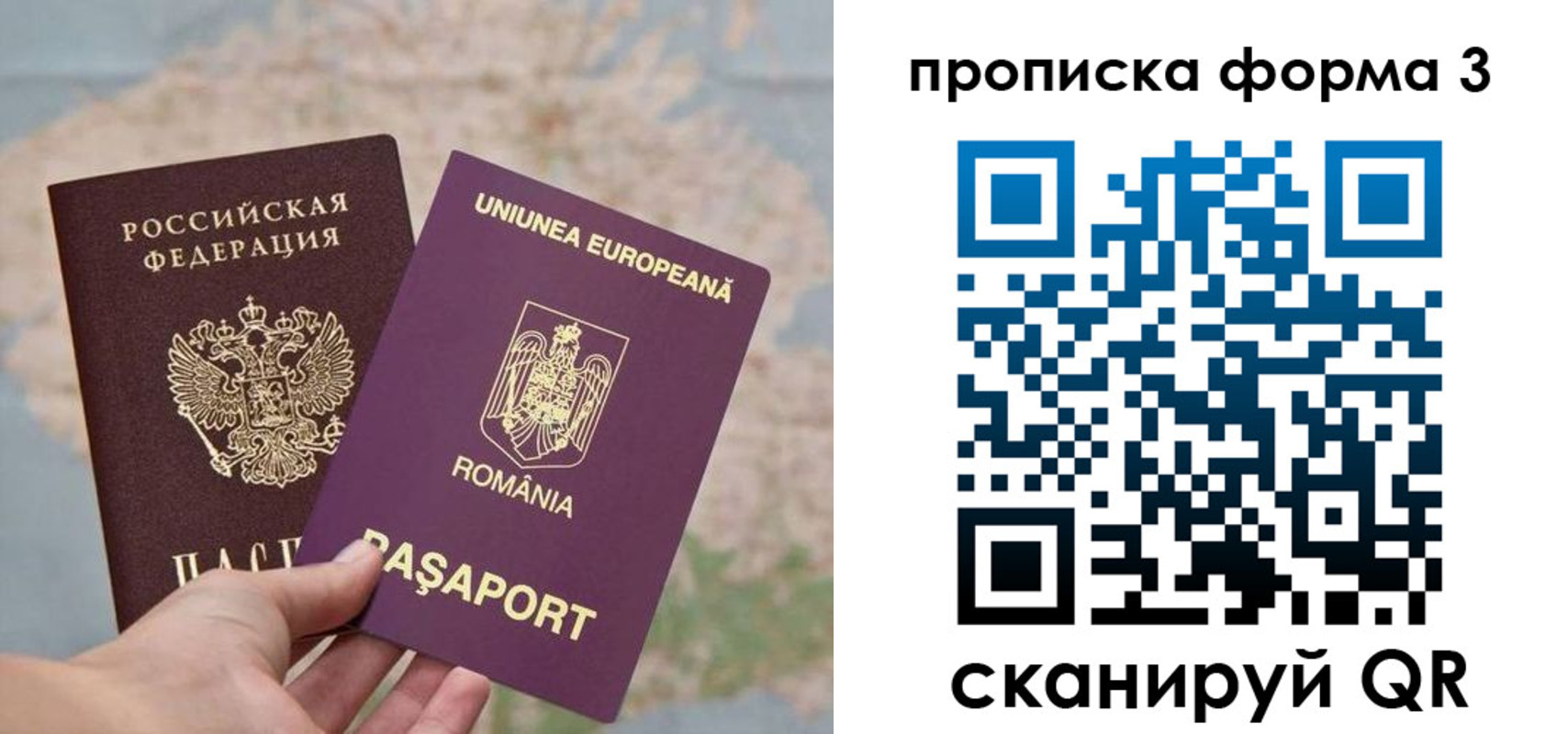 временная регистрация недорого в Сафоново